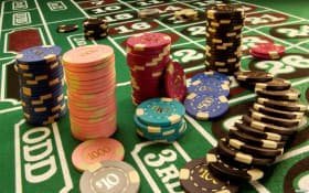 baji.live Live tables